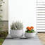 Bol à fleurs en pot 14 po blanc moyen perlé (intérieur amélioré) avec trous de drainage-1352947731-1352947950