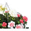 Edelie Arrangement