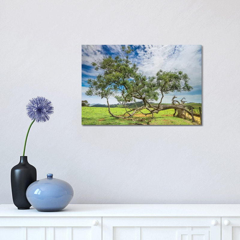 Landscape 21 - Wrapped Canvas Print, 30.48cm H x 45.72cm W x 1.905cm D