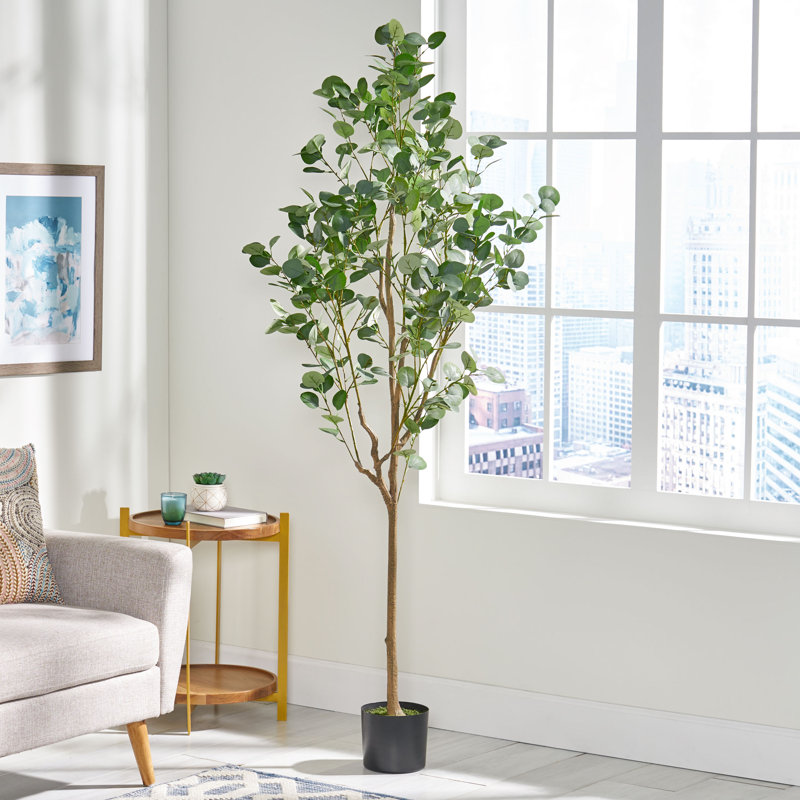 Eucalyptus artificiel Aanya en pot, H 71 po x l 31 po x P 27 po