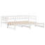Escoba Solid Wood Daybed with Trundle