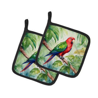 Paire de poignées Eclectus Parrot