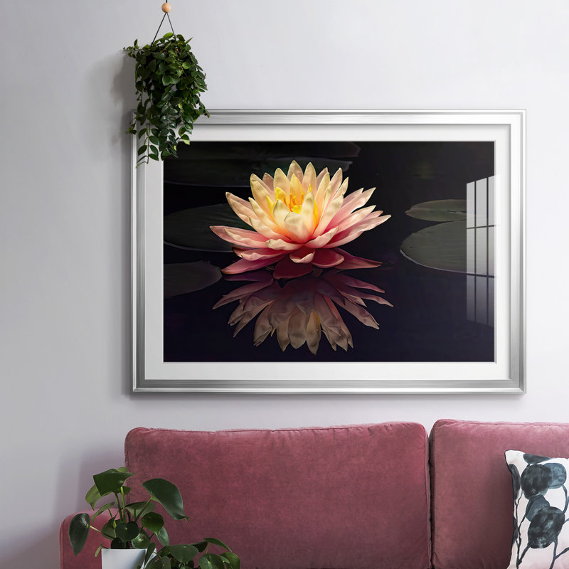 Photographie, étude, nénuphar encadré sur papier, Argent, H 30 po x l 44 po x P 1,5 po