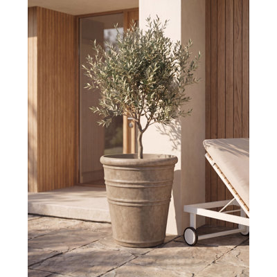 AGISTRI Pot Planter