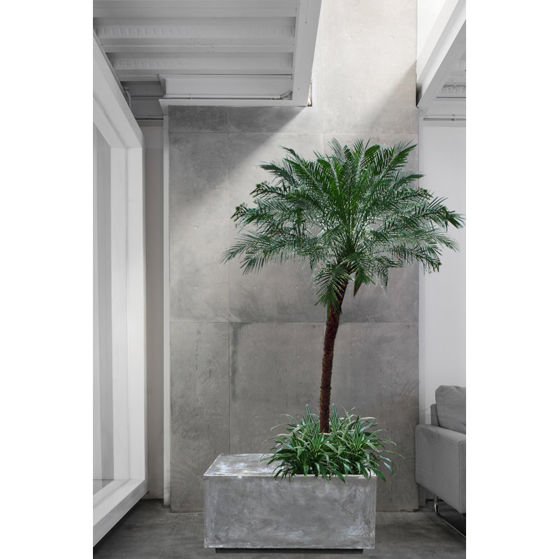 Leonia Handmade Planter Box, 14.6" H x 37" W x 14.6" D