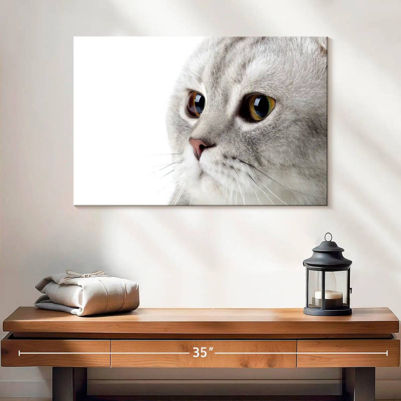 Crowle Fluffy Gray Cat, 16" H x 24" W