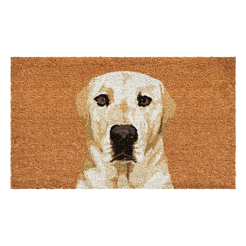 Non-Slip Doormat