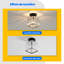 Kosuna Crystal Semi Flush Mount