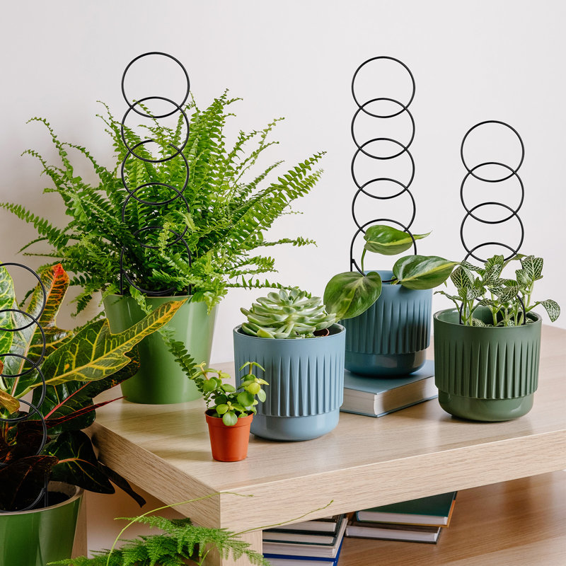 Support robuste antirouille - Treillis en métal pour plantes grimpantes et plantes en pot
