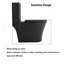 Toilette allongée une pièce à double chasse 1,1 / 1,6 GPF noir mat 1000G