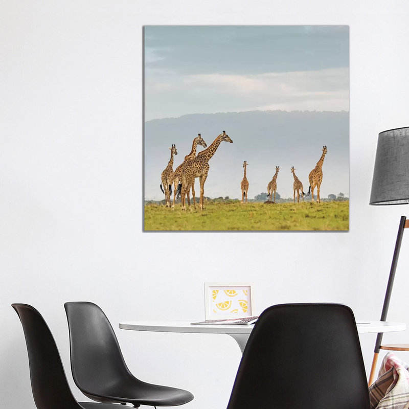 Colour Giraffe Herd I by Klaus Tiedge - Wrapped Canvas Print, 93.98 cm H x 93.98 cm W x 1.91 cm D