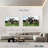 Brampt Holstein Cows-106300695