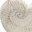 Sand And Cement Nautilus Shell Planter-1353923279