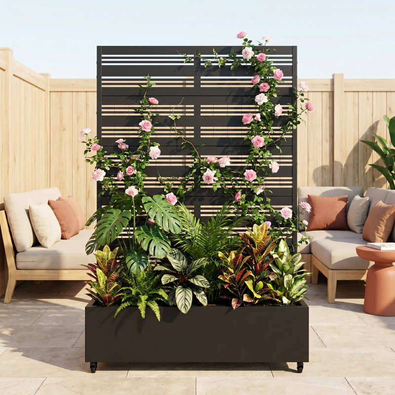 185 H x 360 W, 185' H x 360" W x 40" D