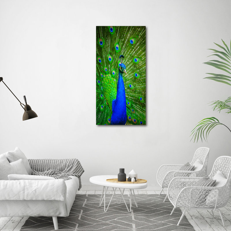 Peacock - Wrapped Canvas Print