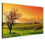 Vineyard - Wrapped Canvas Print-239930014-239930006