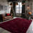 8x10 Rug with 4 Stickers for Living Room, Burgundy Performance Rug for Bedroom, Upgrade Non Slip Livingroom Carpet, Ideal For High Traffic Areas Indoor, Gift For Halloween, Christmas, Thanksgiving, Graduation Season-1883549132