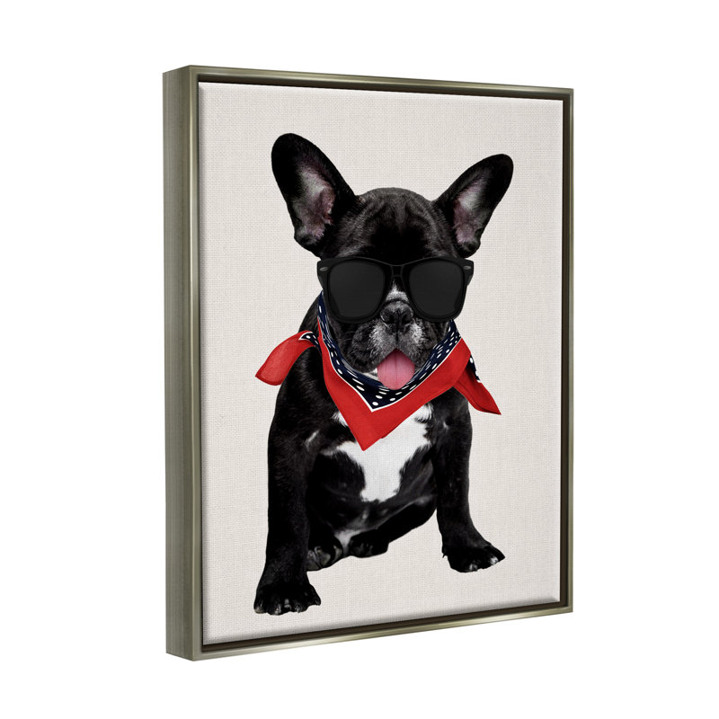 «Cool Dude French Bulldog Pet», impression, H 21 po x l 17 po x P 1,7 po, Cadre flottant gris lustré