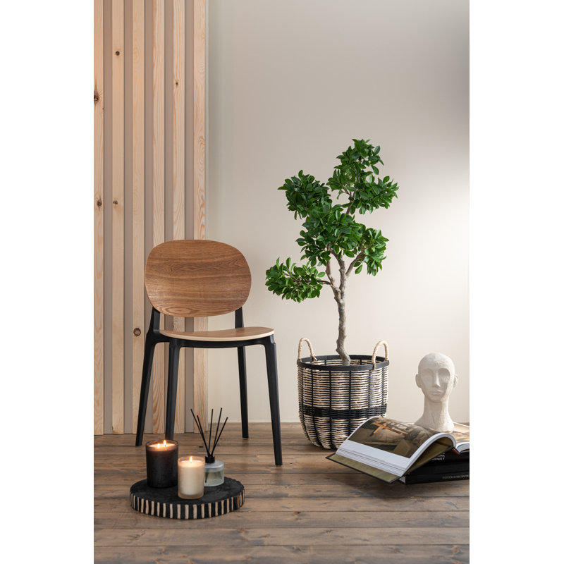 Spring / Summer 2024 Upholstered Side Chair