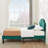 Twin size Bed with Adjustable Tufted Headboard, Platform Bed, Mattress foundation, No Box Spring Needed-2101124068-2101124066