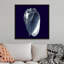 « Indigo shells V » par vision studio-impression-567973469-567973458