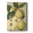 " Apple Harvest II "-1278618217