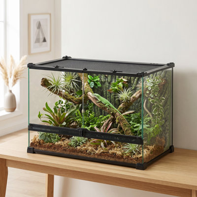 Reptile Box