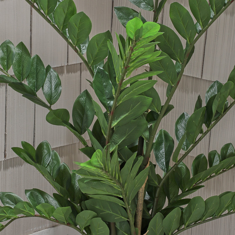 Plante UV en pot ZZ, H 42 po x l 20 po x P 20 po