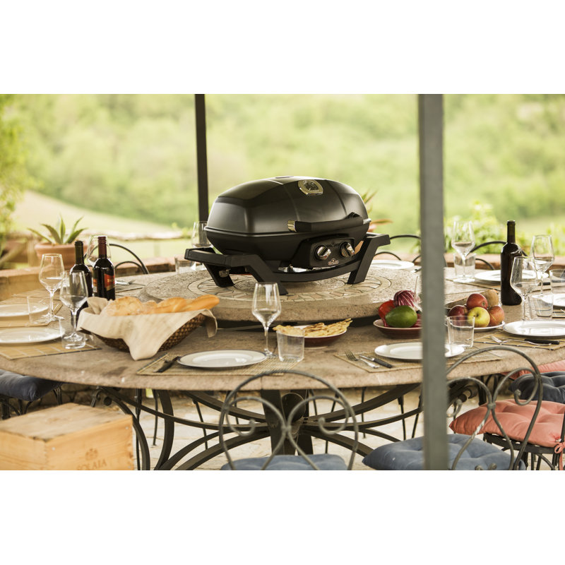 Napoleon TravelQ PRO285 Portable Natural Gas Grill, Black