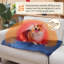 Genivee Pet Bed Cushion-1990209895