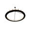 Shalu 24 - Light Chandelier