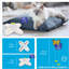 Papillon flottant interactif Agility pour l'enrichissement de l'exercice