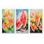 «Summertime Watermelon Fruit I - Fruit», ensemble de 3 reproductions d'art mural-1069236211-1069236215