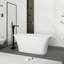 Baignoire de trempage autoportante en acrylique 67 po. X 31 po.