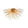 Eadey Flush Mount Sputnik Ceiling Lamp in Gold