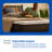 Sealy to Go 12" Medium Memory Foam Mattress in a Box-32003574