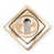 Polished Bronze