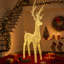 Holiday Lighting-136071005