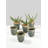Perkins Ceramic Pot Planter-2132393686