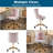 Matthias Task Chair Office Chairs Makeup chair-244975425-244975451