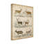 « non-orner les espèces de cerf » non disponible sur toile tendue-33425713