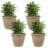 Blough 24" x 24" x 20" Round Polyresin Outdoor Planter Pot - Beige-1821674384-1630842323-1821674389