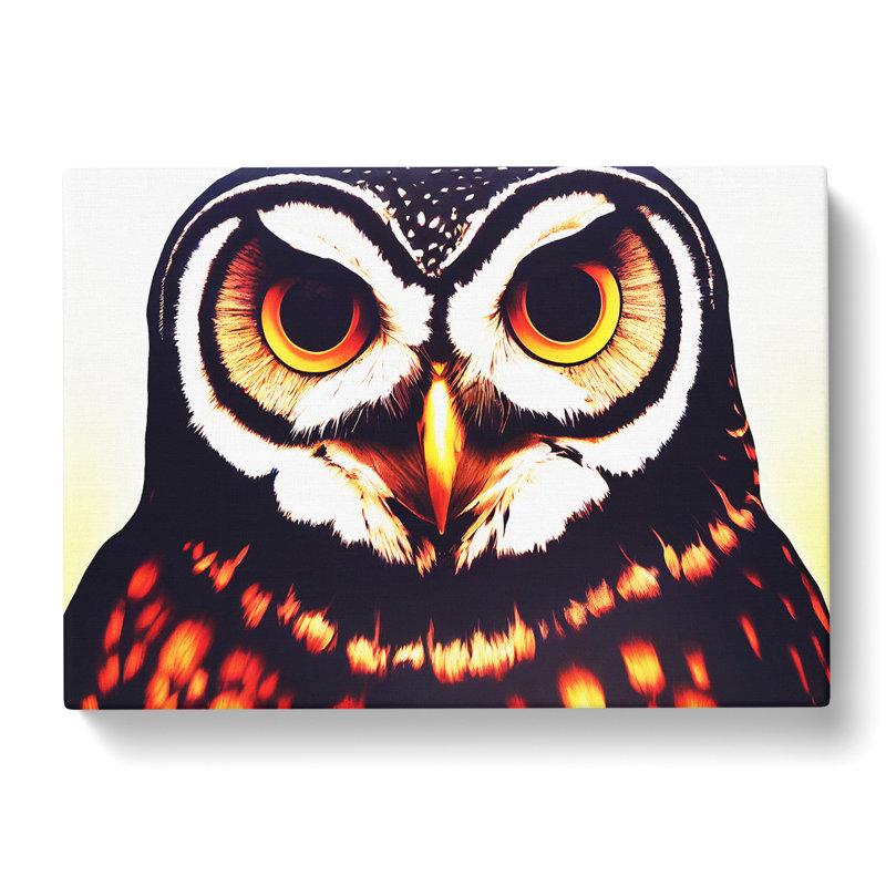 Explosive Owl - Wrapped Canvas, 40cm H x 60cm W x 3cm D