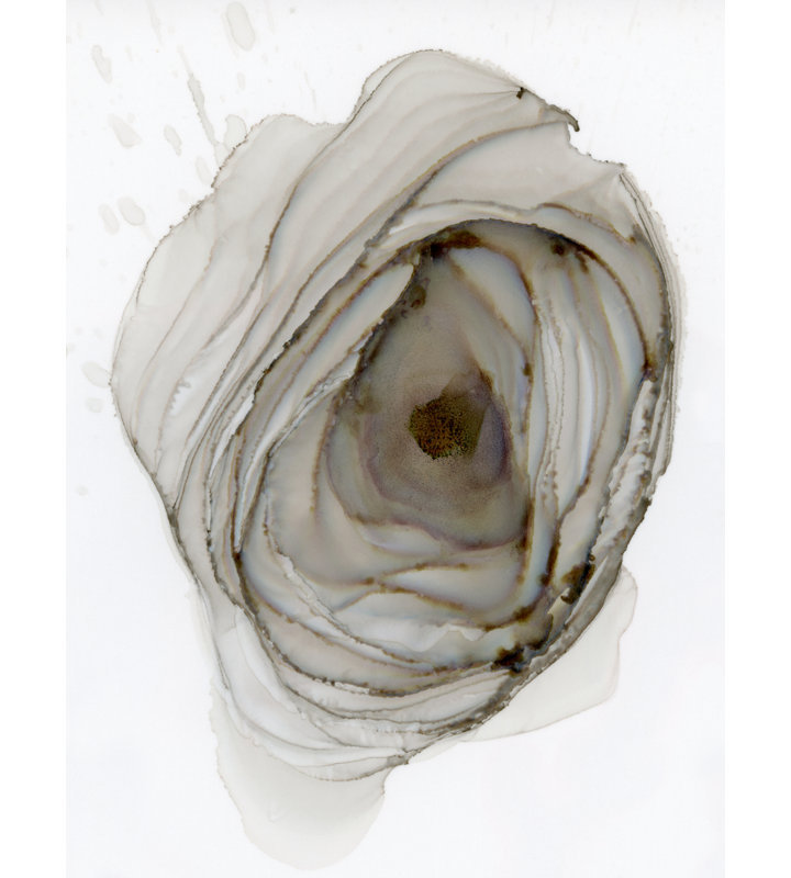 Gray Rose Print, Wrapped Canvas, No Mat, 40" H x 30" W