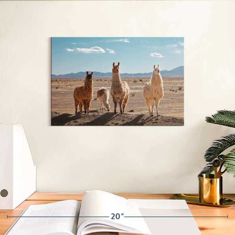 Four Llamas, 8" H x 12" W