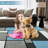 Checked Machine Washable Foldable Printed Rug - Modern Patchwork Design, Non-Slip Mat for Living Room Bedroom Living Room-1433592463