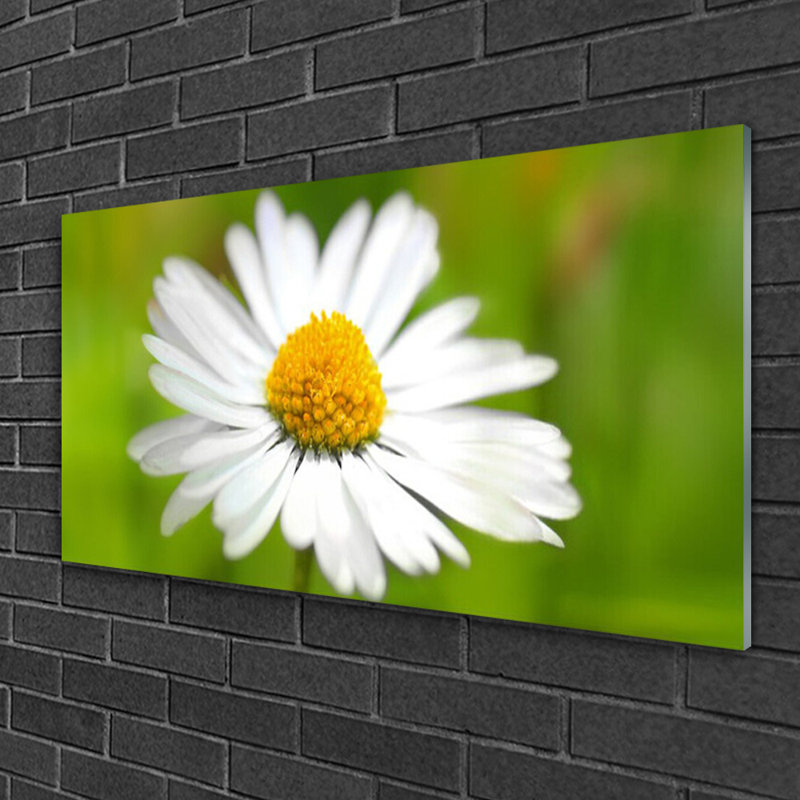 Daisy Floral - Unframed Photograph on Glass