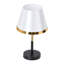 Iron USB Desk Lamp