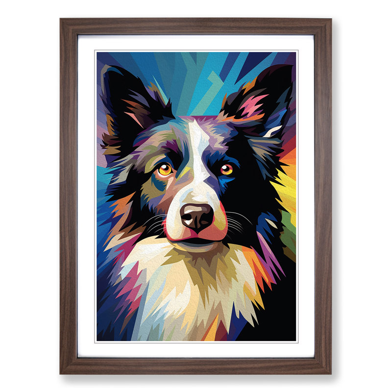 Border Collie Op No.2 - Single Picture Frame Print on Wood, Walnut Framed, 34cm H x 25cm W x 2cm D