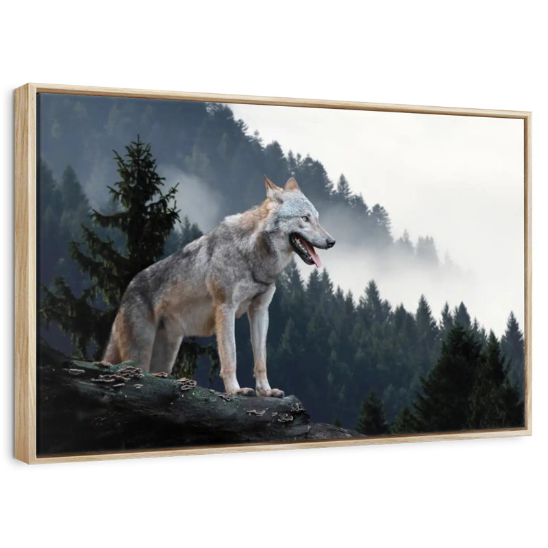 Loup des bois sur la montagne, Cadre flottant en bois naturel, 40 po x 27 po